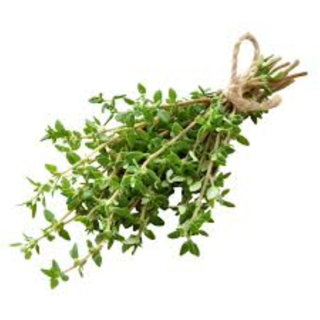 FRESH THYME